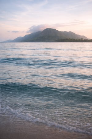 Emotional regulation-1