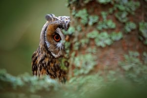 Improve sales response time with better, creepier sales tools