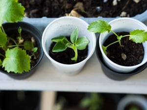 Secrets to building a lead generation hub for your company