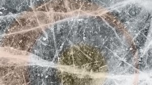 ICE thumbnail LMS (Presentation) grayed-1