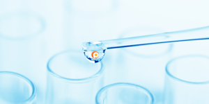 The Experiment