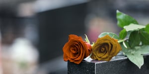 SEO is dead - here's why